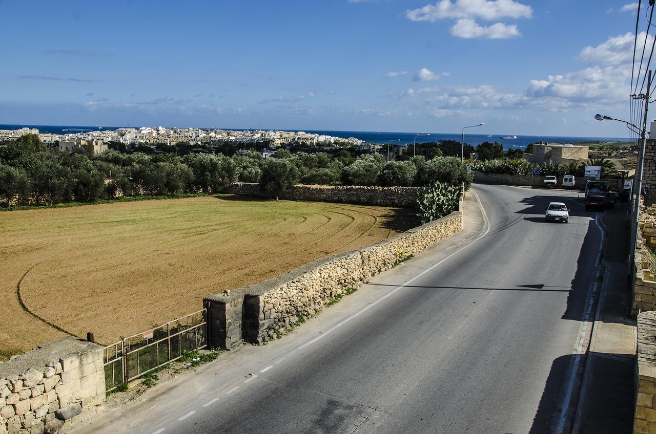 South Olives * Zejtun